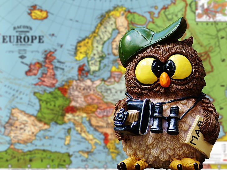 travel, tourist, owl, funny, cute, places of interest, cities
