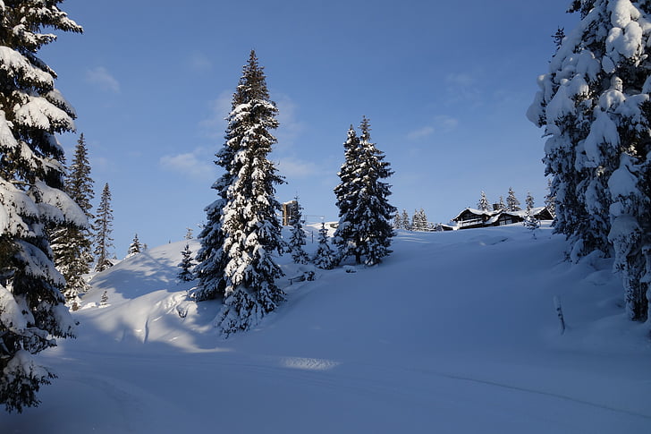 neu, l'hivern, muntanya, Noruega, Lillehammer, Hafjell, gener