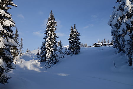 снег, Зима, Гора, Норвегия, Лиллехаммер, Горнолыжный курорт Хафьель, Январь