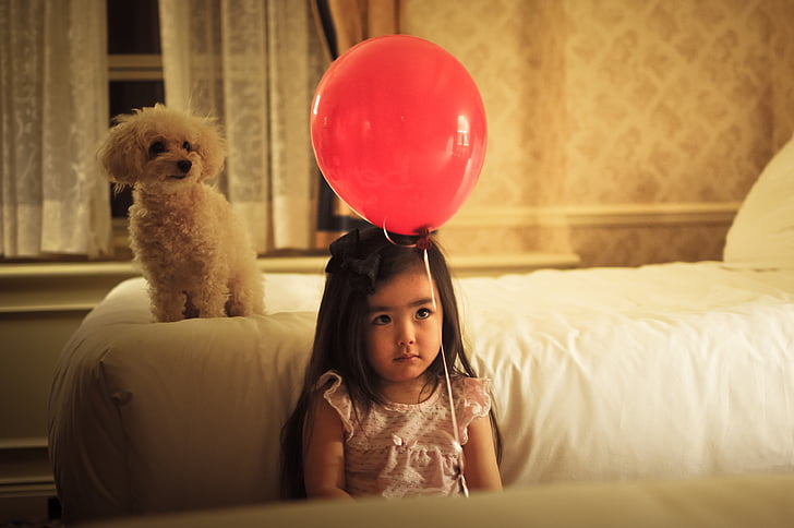 ребенок, девочка, воздушный шар, собака, щенок, девушки, Портрет
