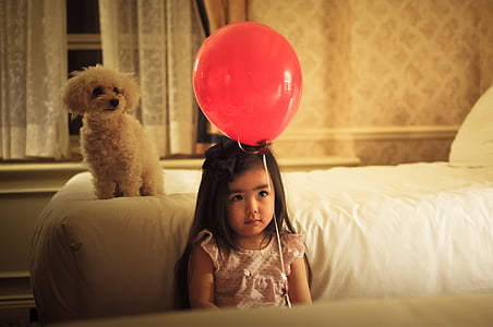 child, girl, balloon, dog, puppy, female, portrait