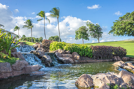 hawaii, oahu, waterfall, rocks, ko olina, pond, palm trees