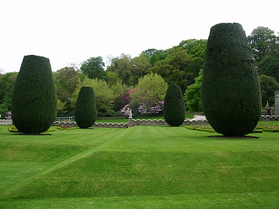 park, maintained, rush, grass, english garden, bushes, trees