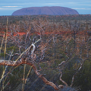 Uluru, sagrado, território do Norte, Outback, Austrália, vermelho, rocha