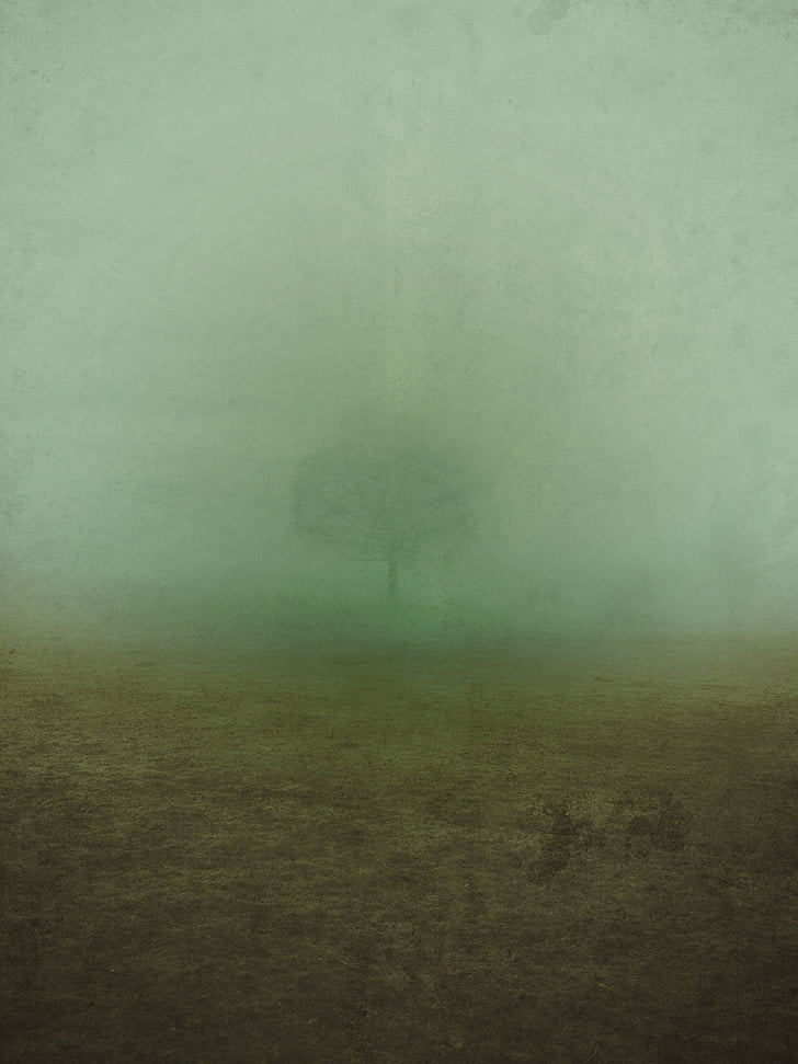 ομίχλη, ομίχλη, τυφλή, φύση, τοπίο, θολό τοπίο, το φθινόπωρο