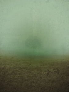 nebbia, nebbia, cieco, natura, paesaggio, nebbioso, autunno