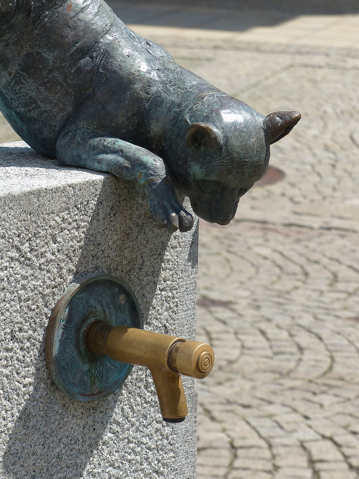 Vòi cảm ứng, Đài phun nước, Freilassing, Trung tâm thành phố, khu vực phố đi bộ, tác phẩm điêu khắc, con mèo