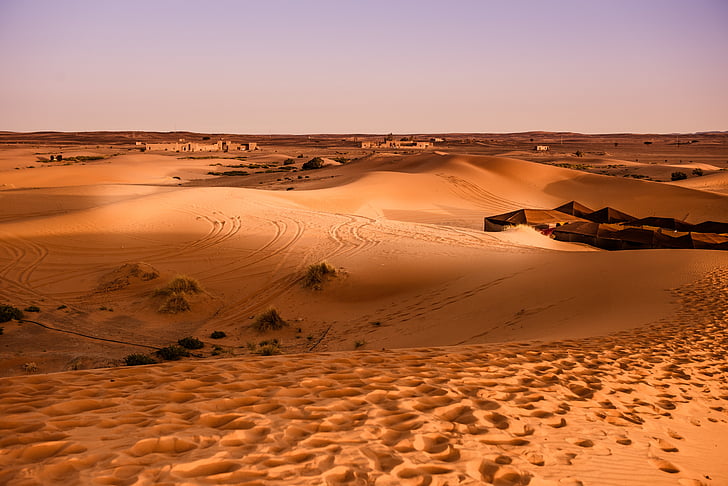 ørken, Marokko, sand dune, tør, landskab