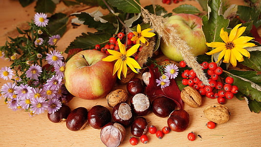 Природа, растения, состав, фрукты, Осень, Цветы, декоративные подсолнечника