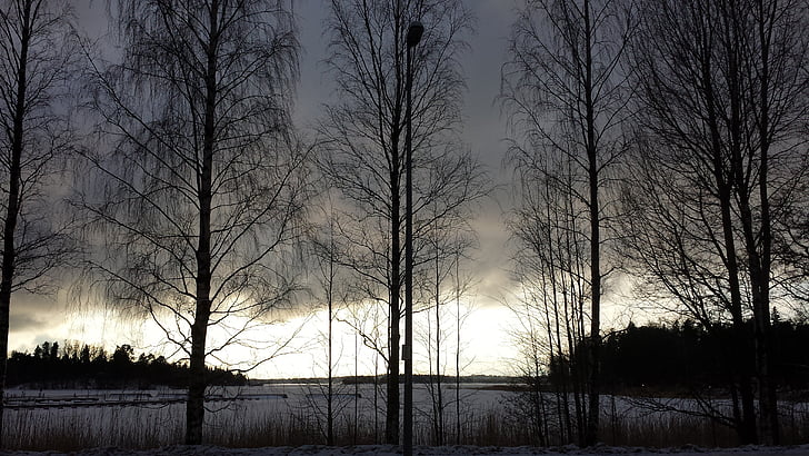 Lapland, Helsinki, mode, zonsondergang, boom, natuur, winter