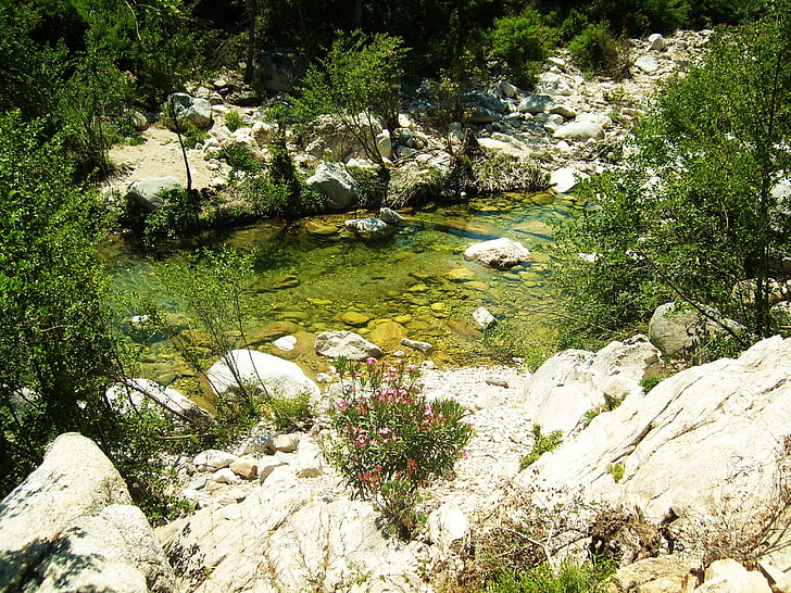 Creek, agua transparente, verde, vegetación, roca, Italia, Cerdeña
