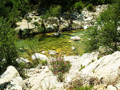Creek, öppet vatten, grön, vegetation, Rock, Italien, Sardinien