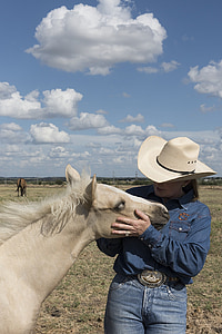 Quarter horse, Colt, cowgirl, Trang trại, ngựa, Cưỡi ngựa, người nuôi súc vật