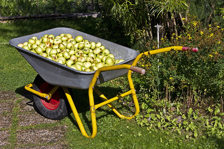 庭の果実, りんご, 秋, 収穫, ガーデニング, フルーツ, 健康的です