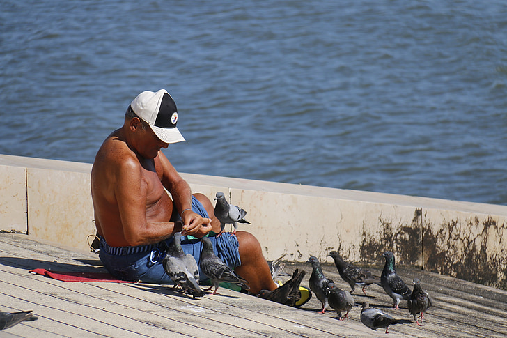 guy, pigeons, friends, friendship, food, feeding birds