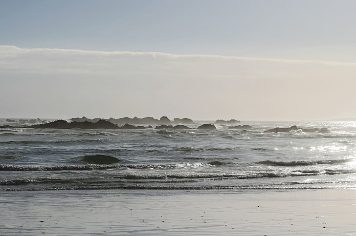 praia, mar, luz de volta, oceano, rocha