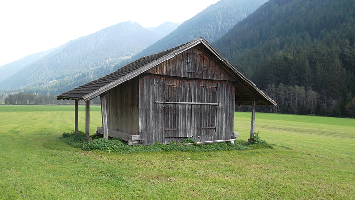 barn, scale, field barn, alpine hut, nature, mountain, rural Scene