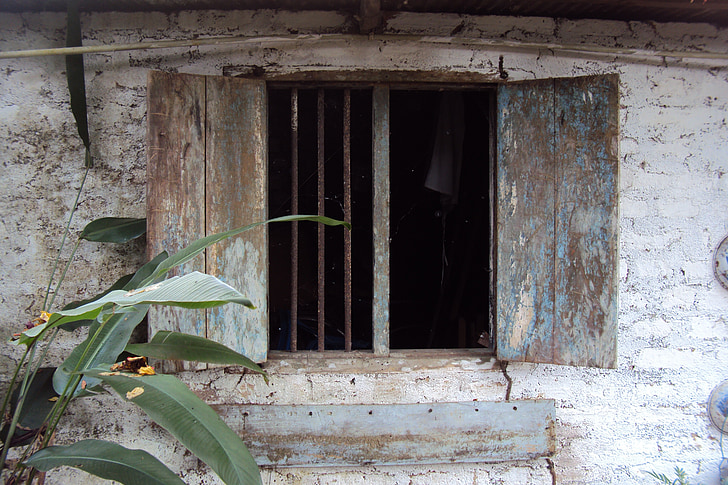 antiga finestra, embruixada, pati del darrere, Sri lanka, barraca, edifici, càries