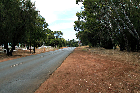camino rural, carretera, Australia, oeste del sur, Manjimup