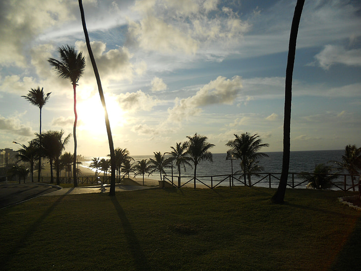 Bahia, Amaralina, Sol, Mar, kokospalmer, resor, landskap