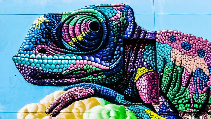 chameleon, graffiti, colour, wall, hotel, colourful, cyprus