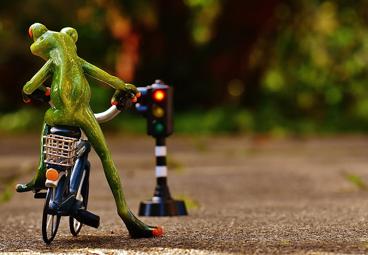 granota, figura, bicicleta, regles de la carretera, semàfors, vermell, divertit