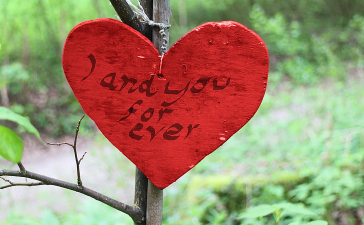 houten hart, hart, symbool, liefde, romantiek, natuur