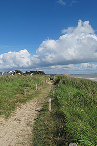 dunes, atlantic coast, grass seaside