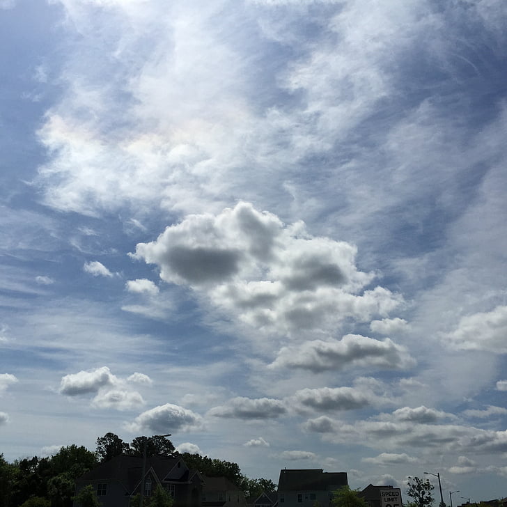 wolken, hemel, bomen, dag, daglicht, Sky textuur, spel textuur