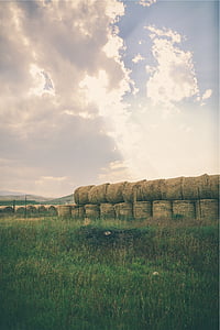hay, bales, grass, farm, fields, rural, country