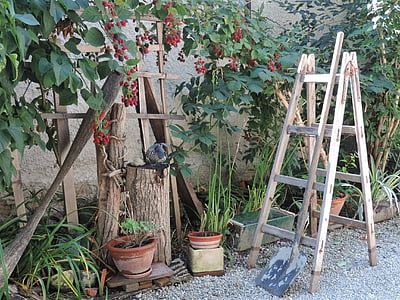 trädgård, stege, sammansättning, hobby