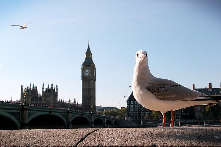 de Big ben, Londen, klok, Toerisme, reizen, Britse, Groot-Brittannië