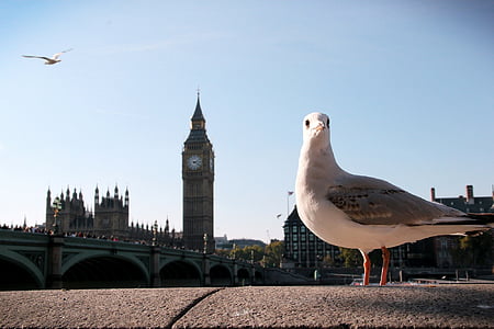 Big ben, London, ura, turizem, potovanja, britanski, Velika Britanija