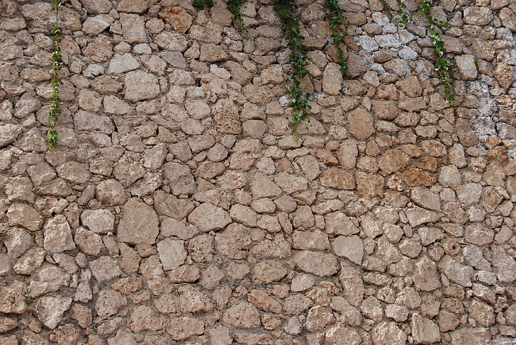 wall, stones, plants, dirt, drought, land, dry