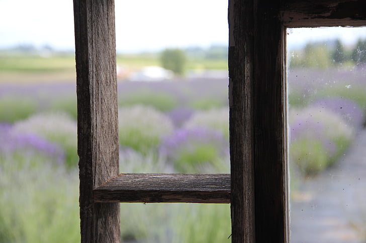 old wood, frame, field, landscape, purple, gray