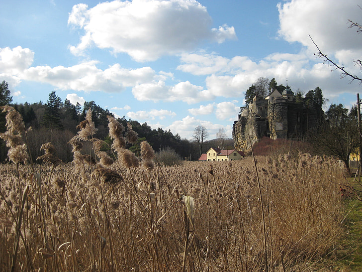 Castle rock, ruiny, łąka, jesień, krajobraz, sucha, niebo