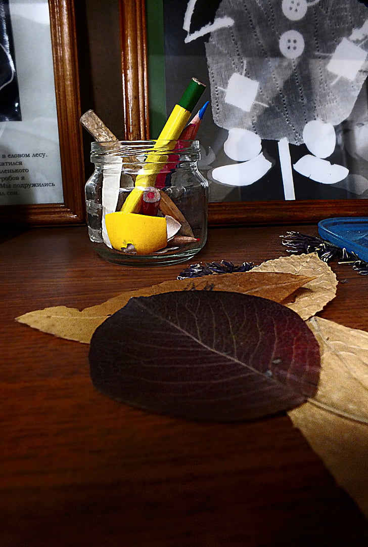 карандаши, сушеные листья, Натюрморт