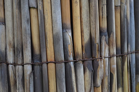 madeira, cerca, limite, bambu, pátina, aço inoxidável, fio