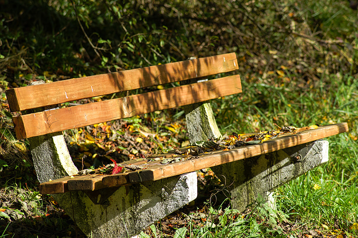 bench, wood, rest, fall, autumn, leaf, leaves