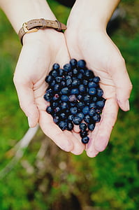 person, holding, blue, berries, bracelet, hand, palm