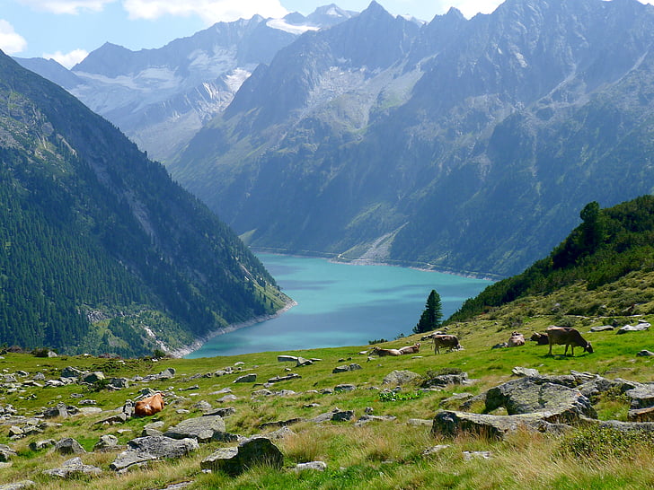 озеро, горы, водохранилище, Австрия tirol Циллерталь, Природа, пейзаж