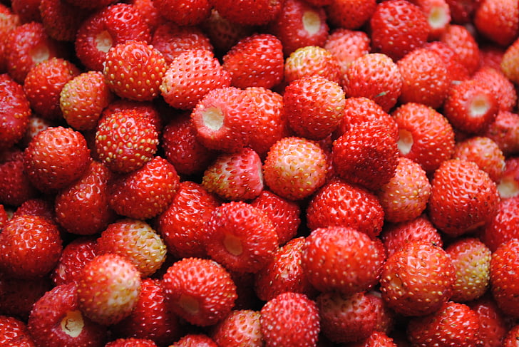 야생 딸기, 베리, 숲, 건강, 배경, 달콤한, 맛 있어