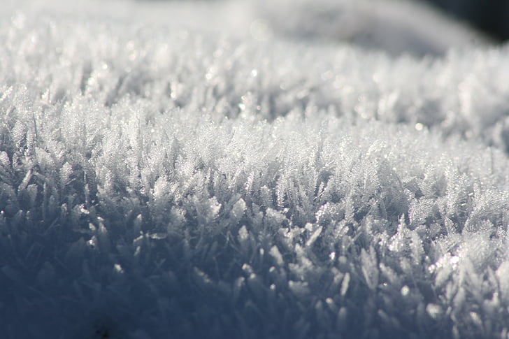 salju, musim dingin, dingin, putih, kristal, embun beku, beku