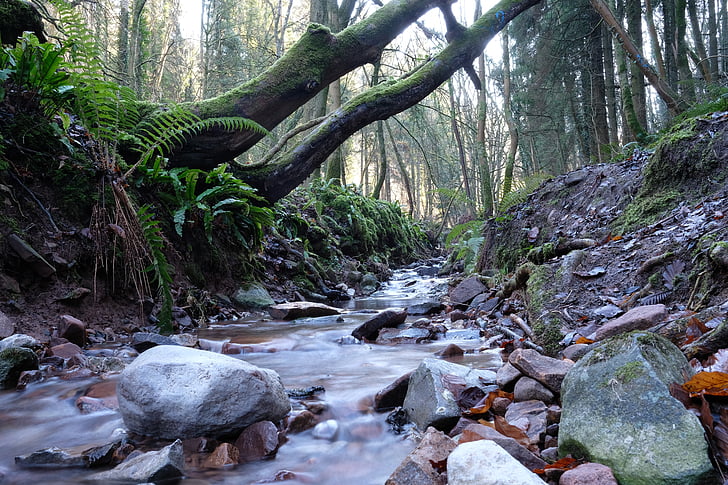 stream, rocks, water, nature, stone, fresh, wet