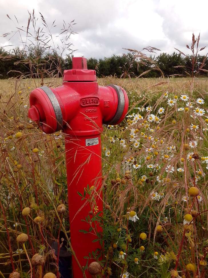 hydrants, field, flowers, water, nature, red