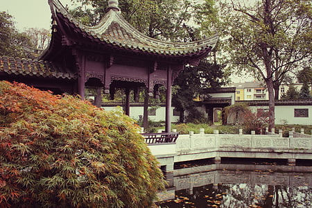 chiński ogród, Park, Japoński, historyczne, Chiny, Azja, ogród