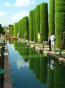 Córdoba, estanque, agua, vegetación, árboles, jardines, reflexión