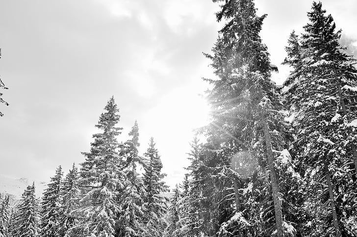 neve, Alpi, Haute-savoie, paesaggio invernale, montagna, sci, inverno