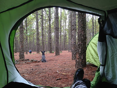 Camping, kenttä, Booth, Luonto, maaseudun, Metsä, talvi