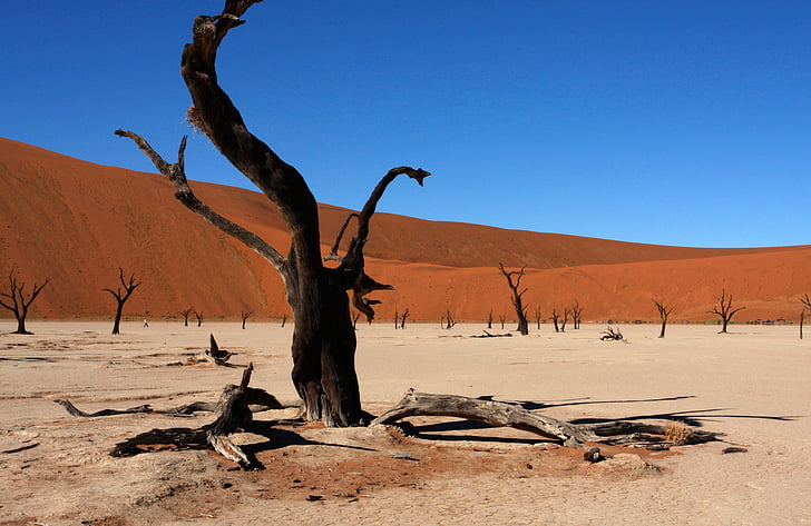 Namíbia, Sossusvlei, dunas, natureza, colinas, deserto, paisagem